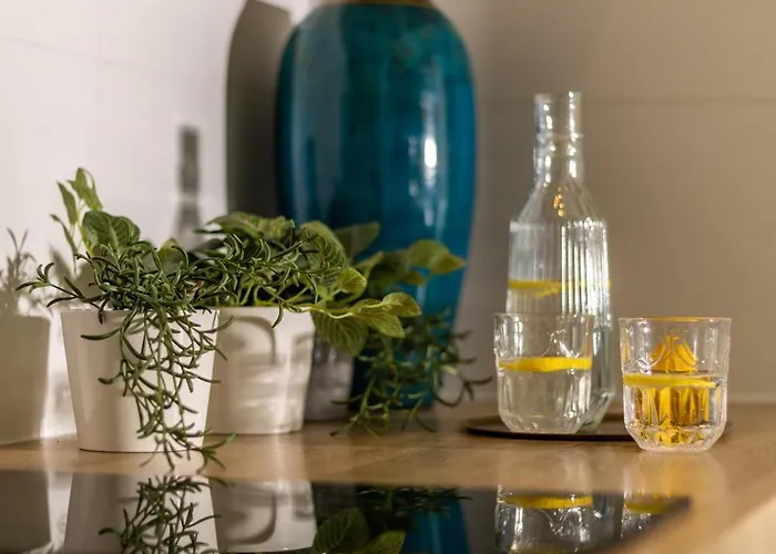 Absyntapart Stare * Wroclaw