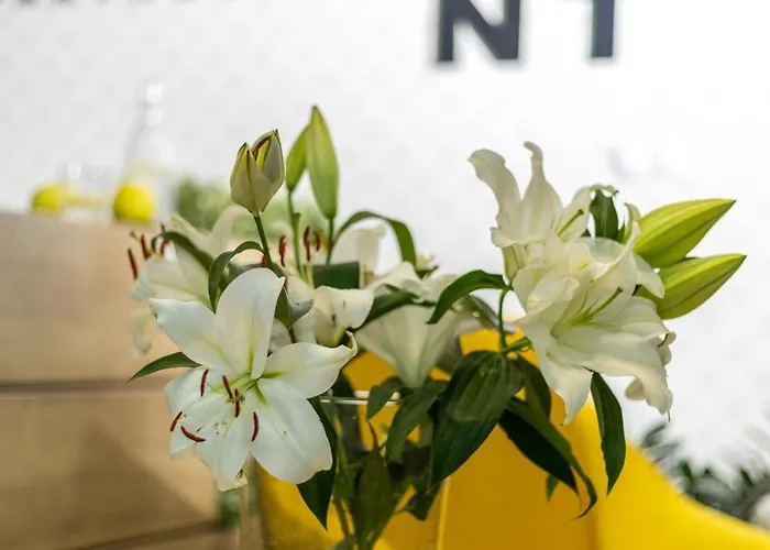 Apartment Absyntapart Stare *